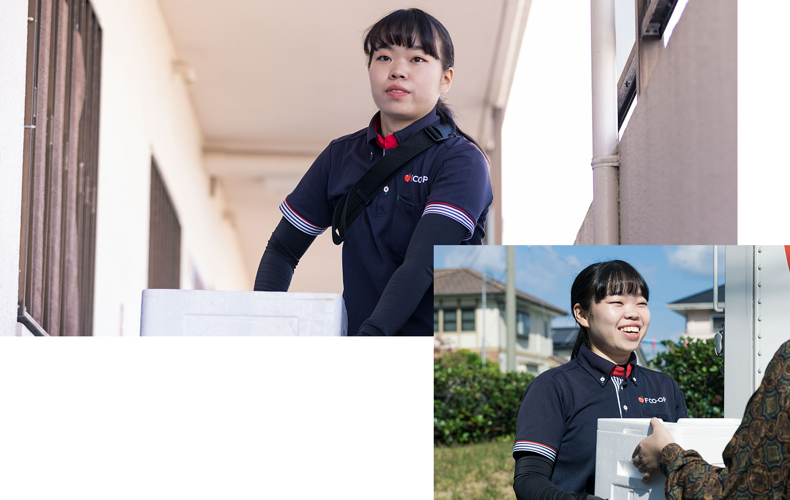 ダミーテキスト