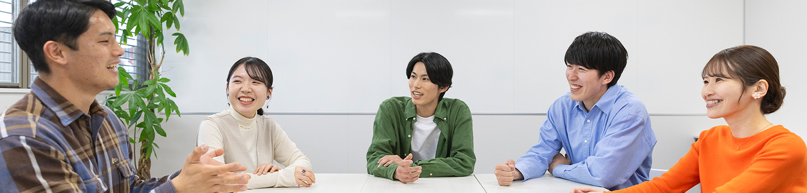 ダミーテキスト